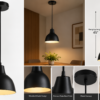Luxion Black Mold Hanging Light