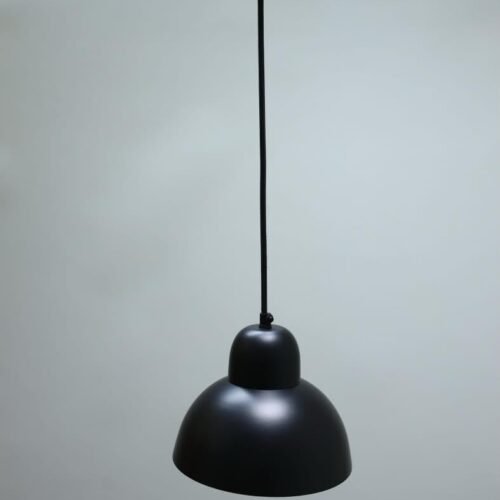 Luxion Black Mold Hanging Light
