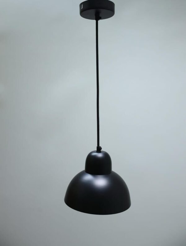 Luxion Black Mold Hanging Light